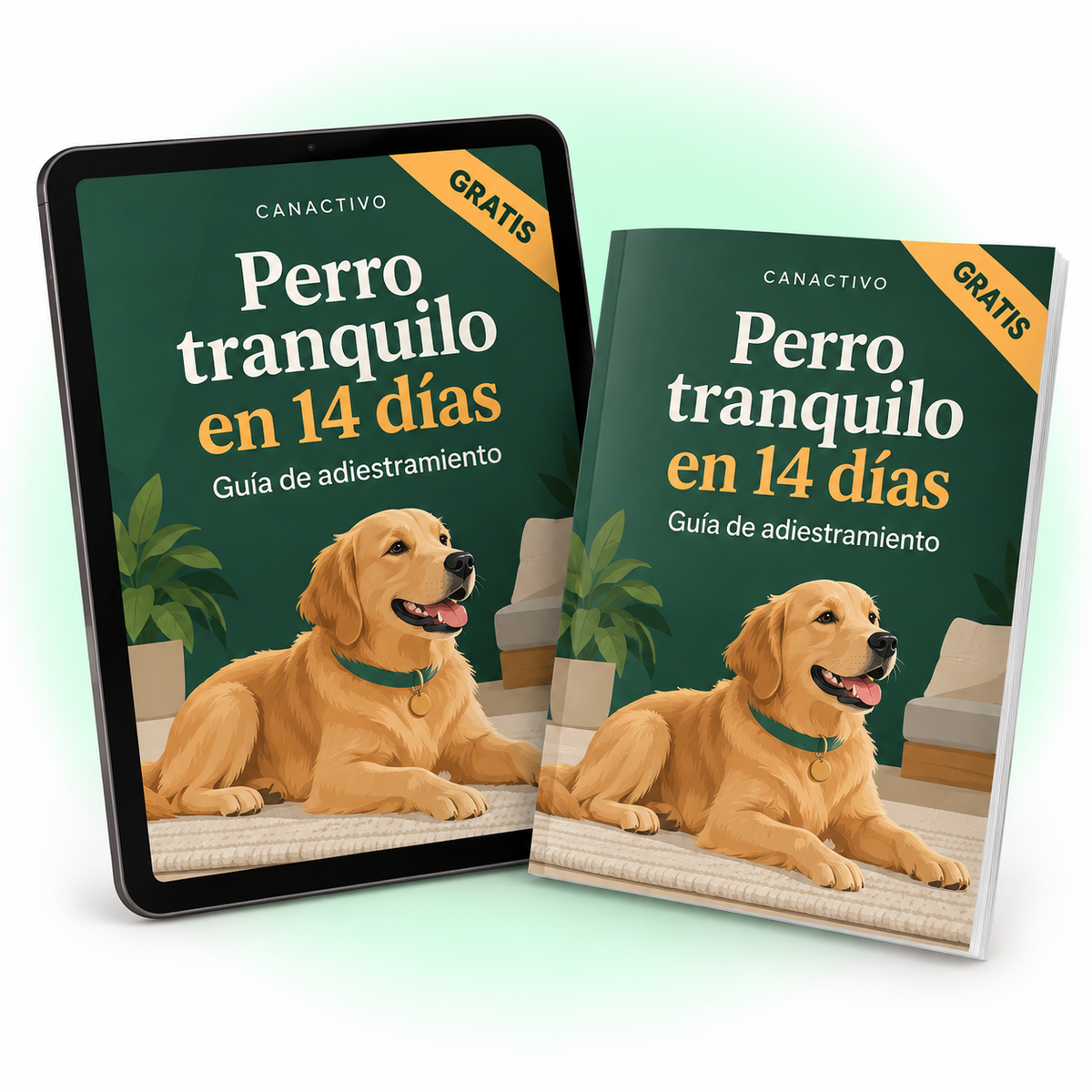Portada de la guía Perro tranquilo en 14 días