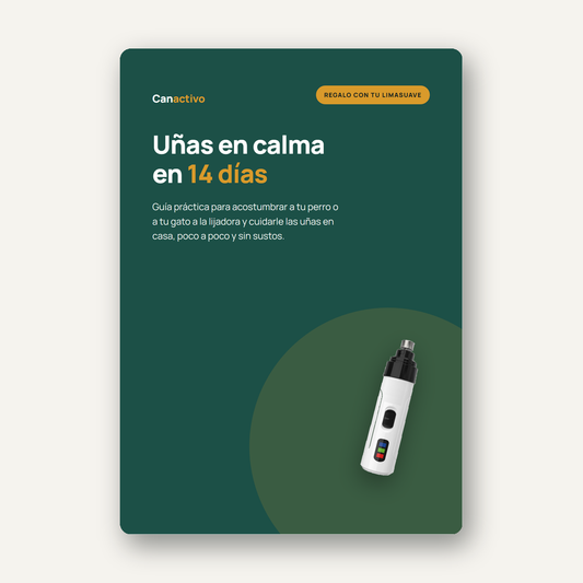 Portada de la guía Uñas en calma en 14 días